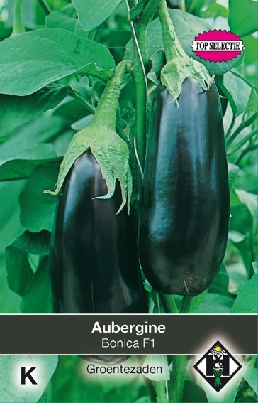 Aubergine Bonica F1 (Solanum) 50 zaden HE